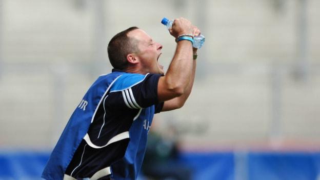 Joe Fortune celebrates following the 2007 Leinster Minor Hurling Final.