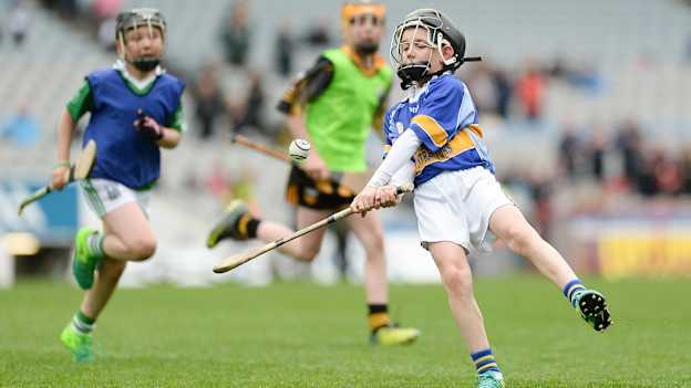 Noah Rogers shows the young talent of Portaferry while hurling in the 2017 Go Games Provincial Days at Croke Park. 