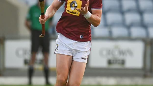 Westmeath centre-back, Tommy Doyle, is the GAA/GPA Joe McDonagh Cup Hurler of the Year for 2021. 





