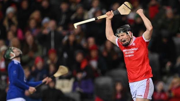 Monaleen's Mark O'Dwyer celebrates at Croke Park.