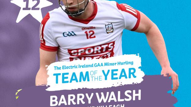 Killeagh and Cork hurler, Barry Walsh, was named at left wing-forward on the Electrick Ireland GAA Minor Hurling Team of the Year. 