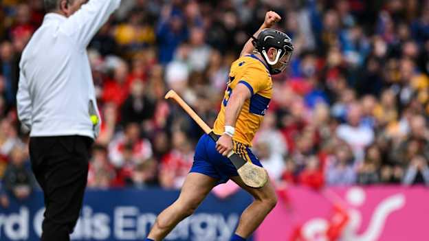 The Economics of Hurling 