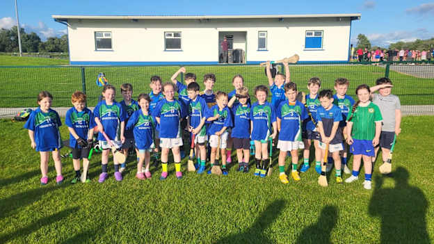 The Shannon Gaels U8 hurlers. 