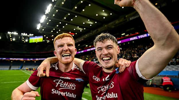 AIB Leinster Club SHC Final: Stafford the hero for St Martin's
