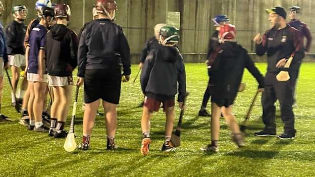 Pictured are participants in Westmeath GAA's Lakeland Óg hurling initiative. 