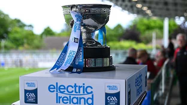 The cup before last year's Electric Ireland Leinster MFC final. Photo by Piaras Ó Mídheach/Sportsfile
