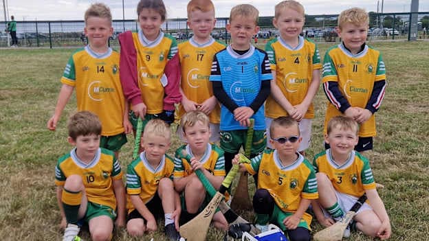 Ardglass are netting a good haul of hurlers
