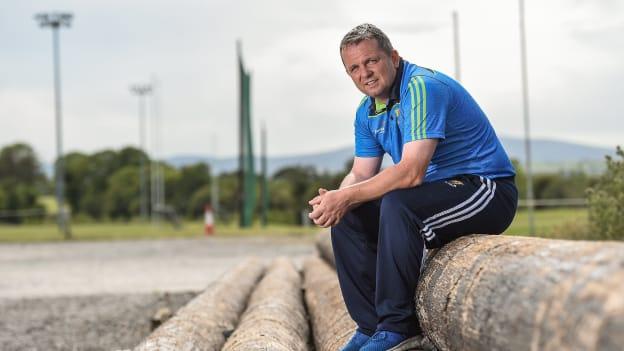 Wexford manager Davy Fitzgerald.