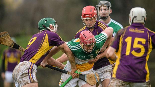 OffalyWexford2016