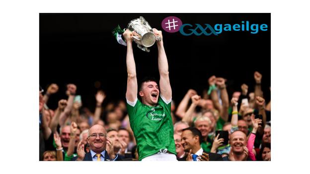 Declan Hannon - Laoch Luimnigh 