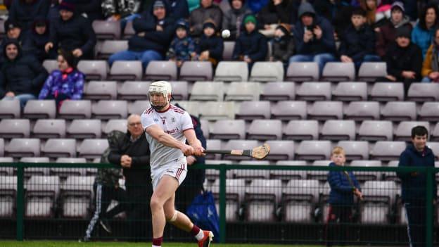 Joe Canning scored 0-15 for Galway against Wexford at Pearse Stadium.