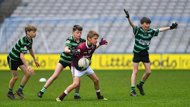 An online tool will soon be able to help GAA clubs plan for the future by letting them know how many potential young players will be available to their club a number of years into the future. 