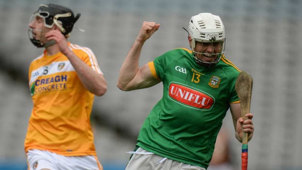 Neil Heffernan celebrates at Croke Park.