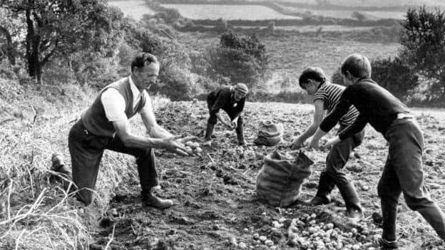 Brian Mullins' uncle, the legendary Kerry footballer Bill Casey, at home on his farm.