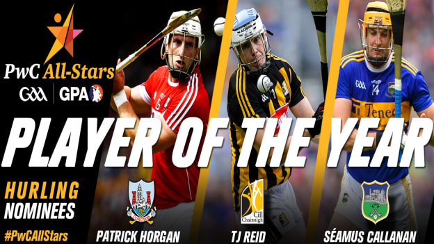 PwC GAA/GPA Hurler of the Year nominees.