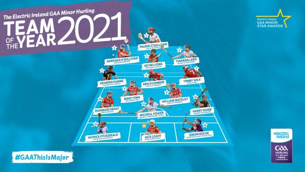 The 2021 Electric Ireland GAA Minor Hurling Team of the Year.