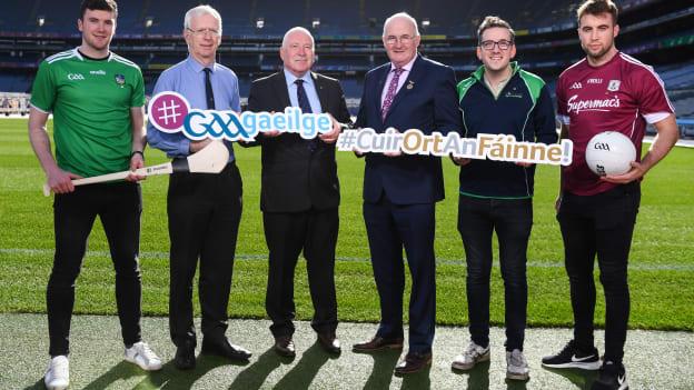 Feachtas an Fháinne