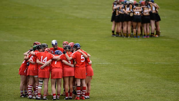Cork and Kilkenny before the Littlewoods League Final in April.
