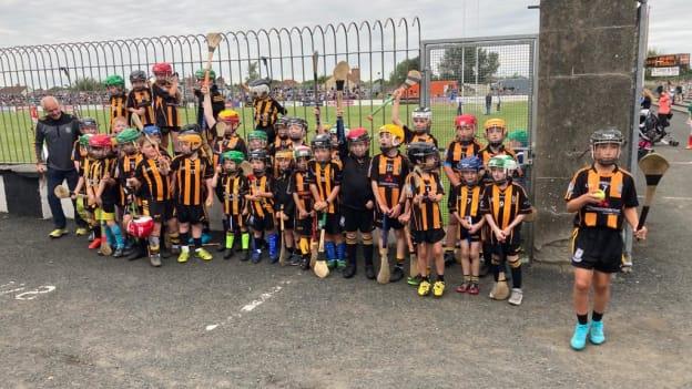 Juvenile hurling and camogie is now thriving in Round Towers GAA club.