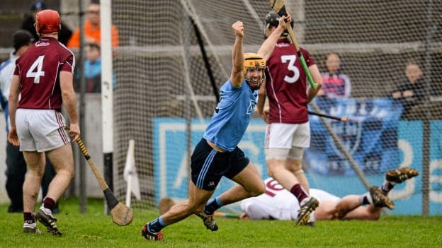 Eamon Dillon celebrates scoring a goal for Dublin