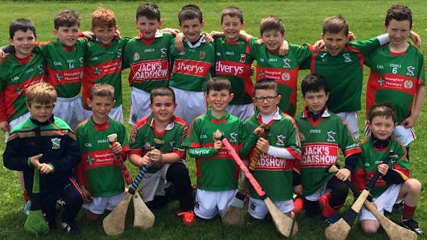 Kilclief Ben Dearg U8 hurlers, stars of the future.