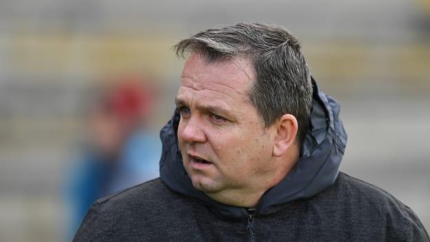 Wexford hurling manager Davy Fitzgerald.