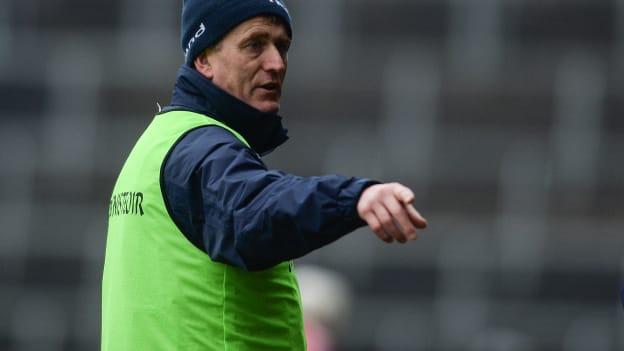 Limerick hurling manager John Kiely.