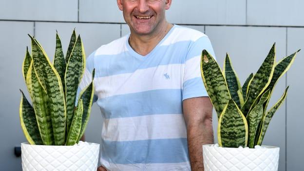 Tipperary manager Liam Sheedy is interviewed during the PwC All Star Hurling Tour at the Aloft Abu Dhabi National Exhibition Centre in Abu Dhabi.