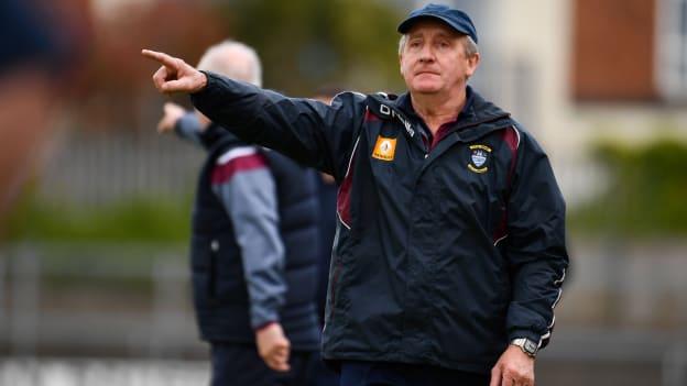 Westmeath continue to make steady progress under Michael Ryan.