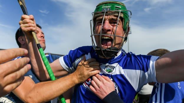 Laois' Paddy Purcell has been named Joe McDonagh Cup Player of the Year.
