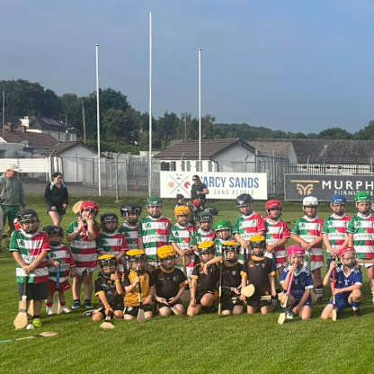 Eight Wicklow clubs embracing Hurling Nua initiative