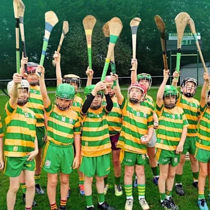Westmeath's Castledaly proving hurling can prosper in football heartlands