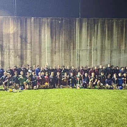 Westmeath's Lakeland Óg hurling initiative casts a wide net