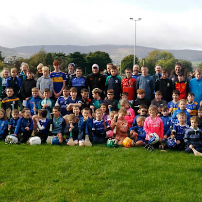 Cahill's successful visit helps Warrenpoint's hurling cause