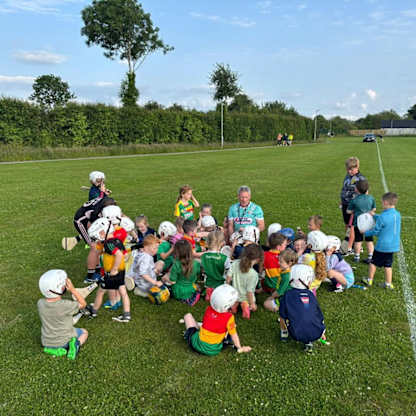 Carlow working hard to maximise hurling potential