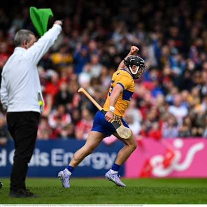 The Economics of Hurling 