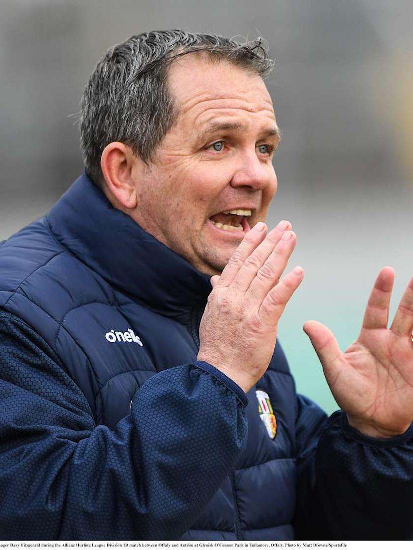 Allianz HL D1B: Carlow and Antrim divide spoils