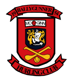 Ballygunner
