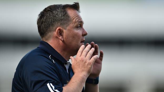 Wexford manager Davy Fitzgerald takes charge against his native Clare on Saturday.