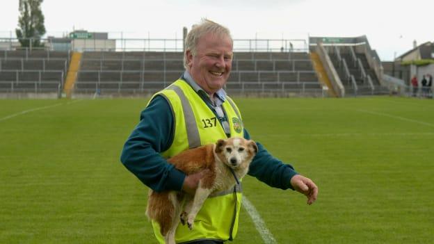 Bord na Móna O'Connor Park groundsman, Jim Kelly, will do whatever it takes to keep the pitch in pristine condition, including removing the occasional stray dog.