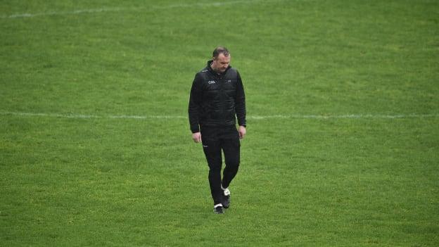 Referee Alan Kelly inspecting the Innovate Wexford Park pitch before last weekend's postponed Allianz Hurling League clash between Wexford and Kilkenny. 