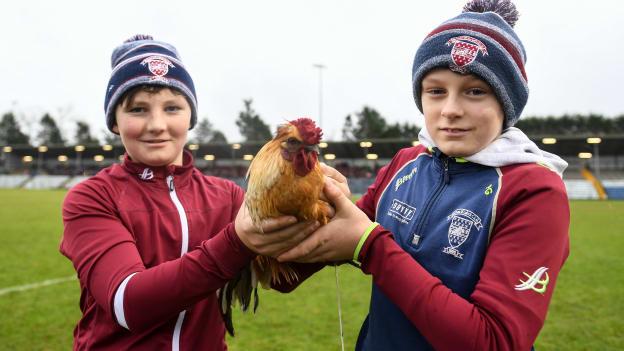 Eamon, left, and Patrick Grome with Borris-Ileigh team mascot Paddy the cockerel prior to the AIB Munster GAA Hurling Senior Club Championship Final.