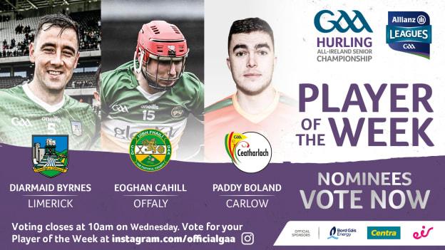 GAA.ie Hurler of the Week nominees.