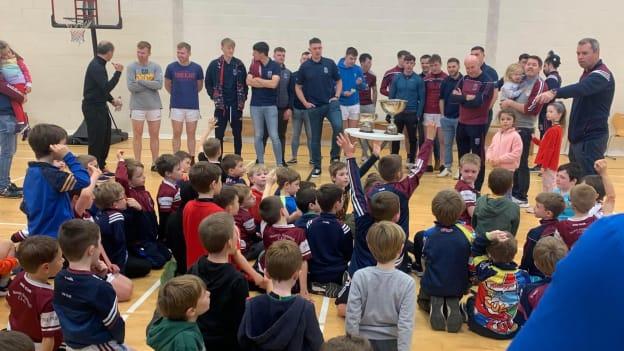 Members of the St Joseph's Doora-Barefield panel discuss hurling with players from the U7s team in the club.