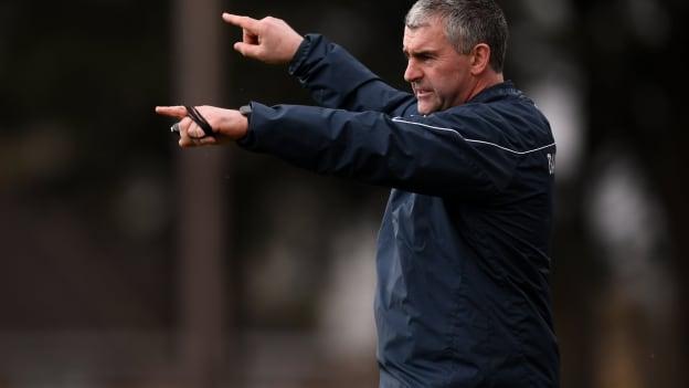 Tipperary manager Liam Sheedy pictured at Pairc Ui Rinn on Sunday.