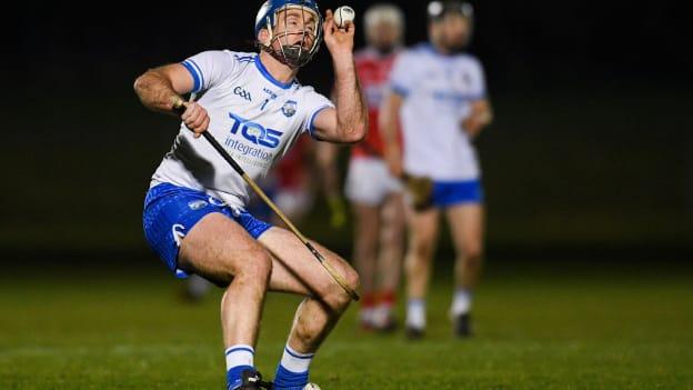 The experienced Michael 'Brick' Walsh has returned to action for Waterford again in 2019.
