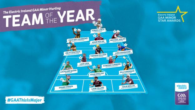 The 2020 Electric Ireland Minor Hurling Team of the Year. 