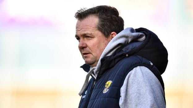 Davy Fitzgerald watching Wexford's Allianz Hurling League clash against Carlow in March.