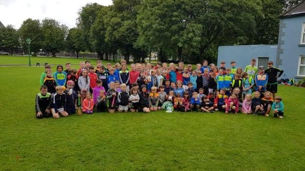 The 'Hurling on the Green' initative has played a vital role in developing a new generation of young hurlers and camogie players in Castlebar.