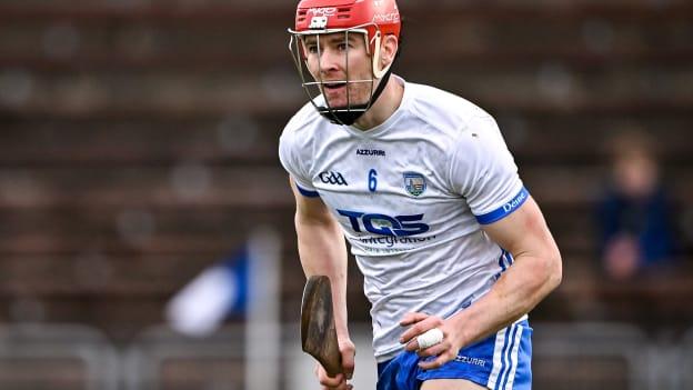 Tadhg de Búrca's return to action for Waterford has been a huge boost to Liam Cahill and his panel. 